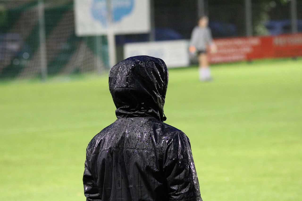 Dedetização de Traças na Vila Formosa