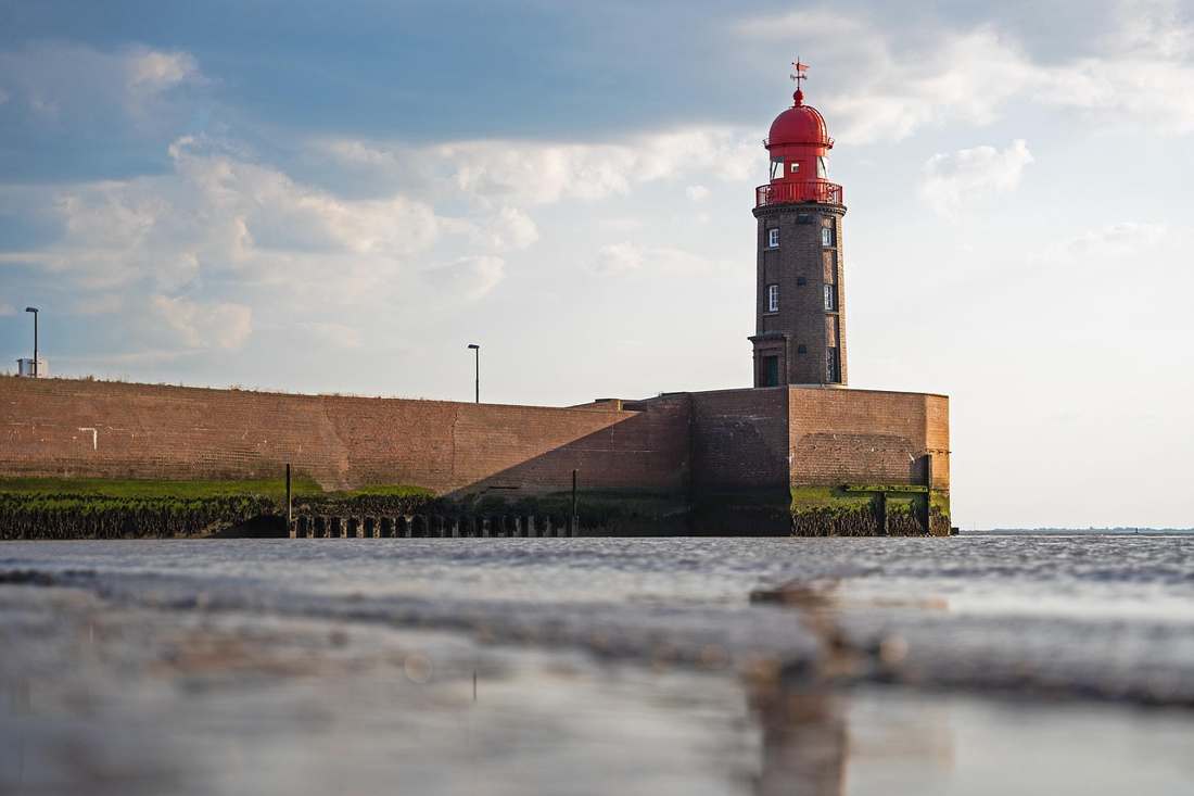Descupinizadora na Cidade Patriarca
