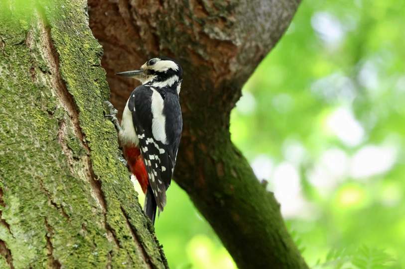 Limpeza de caixa de água em Ferraz Vasconcelos