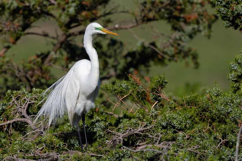 Limpeza de caixa de água em Mairiporã