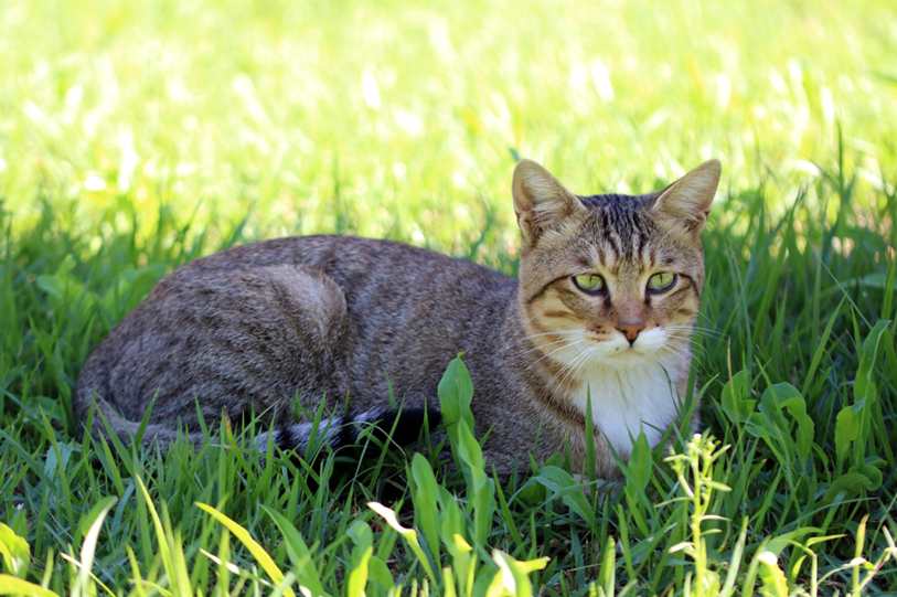 Limpeza de caixa de água no Jardim Marajoara